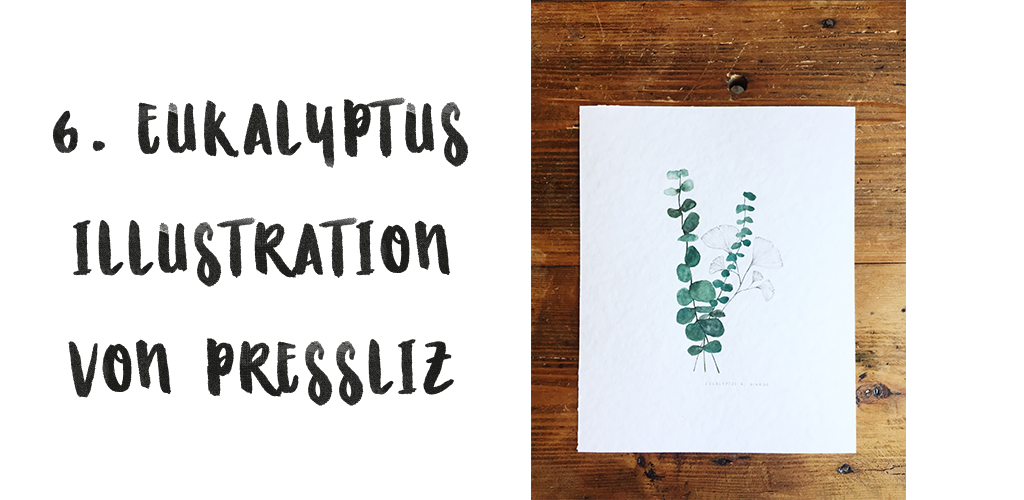 Eukalyptus-Illustration-Pressliz-Instagram-Holzboden Adventskalender